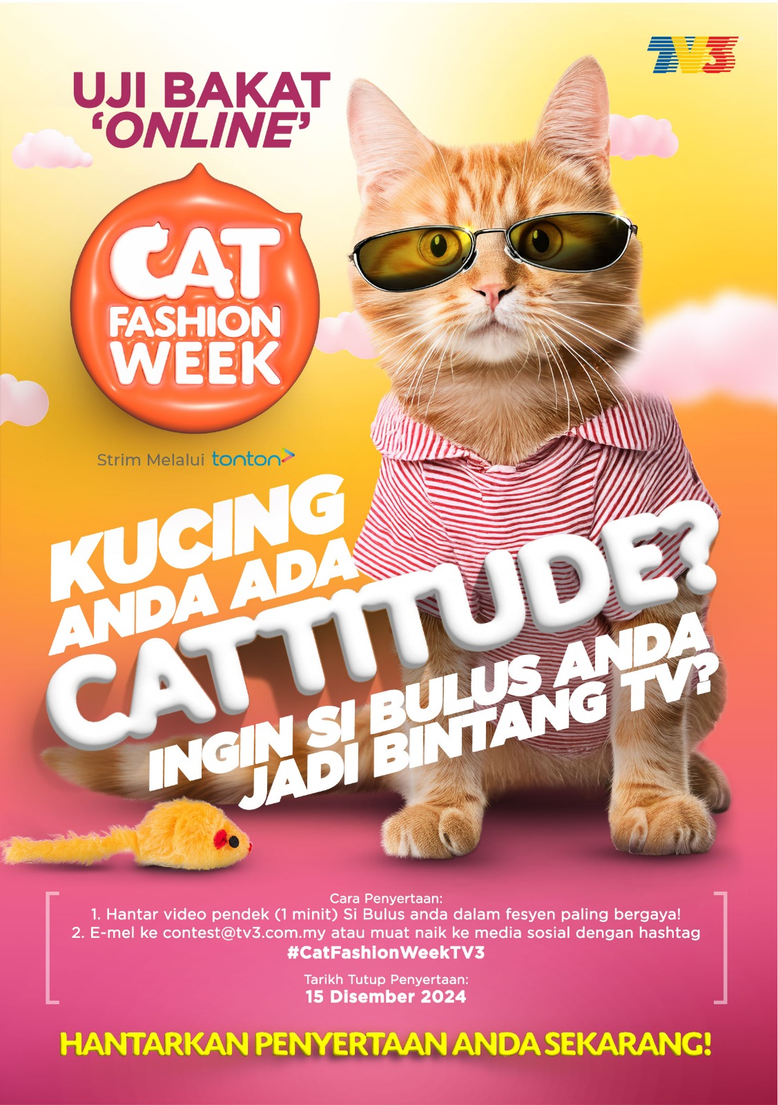 Peluang Untuk Kucing Anda Jadi Bintang di Cat Fashion Week TV3!